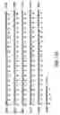 Fig. 17 - INTERFERON-BETA FUSION PROTEINS AND USES