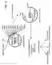 Fig. 18 - INTERFERON-BETA FUSION PROTEINS AND USES