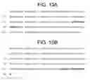 Fig. 14 - Modified Fc molecules