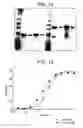 Fig. 17 - Modified Fc molecules