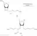 Fig. 44 - Method for introducing a nucleic-acid protecting group