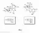 Fig. 03 - Process for preparing purine nucleosides