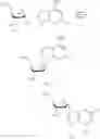 Fig. 13 - Process for preparing purine nucleosides