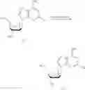 Fig. 14 - Process for preparing purine nucleosides