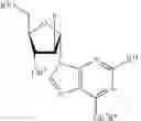 Fig. 19 - Process for preparing purine nucleosides