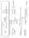 Fig. 09 - Ligand-conjugated monomers