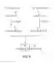 Fig. 11 - Ligand-conjugated monomers