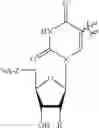 Fig. 110 - Ligand-conjugated monomers