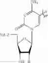 Fig. 113 - Ligand-conjugated monomers