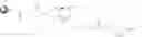 Fig. 181 - Ligand-conjugated monomers
