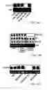 Fig. 24 - Ligand-conjugated monomers