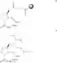 Fig. 41 - Ligand-conjugated monomers