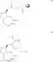 Fig. 44 - Ligand-conjugated monomers