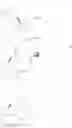 Fig. 47 - Ligand-conjugated monomers
