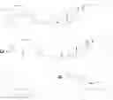 Fig. 80 - Ligand-conjugated monomers
