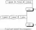 Fig. 93 - Ligand-conjugated monomers