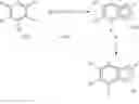 Fig. 19 - Pyrazolopyridine Derivates
