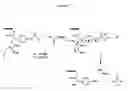 Fig. 09 - Dendrimer conjugates