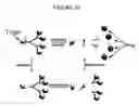 Fig. 28 - Dendrimer conjugates