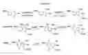 Fig. 32 - Dendrimer conjugates