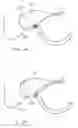 Fig. 18 - Access Systems and Methods of Intra-Abdominal Surgery