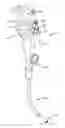 Fig. 01 - Biopsy Cap Attachment and Integrated Locking Device