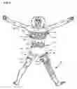 Fig. 02 - System, devices, and methods for detecting occlusions in a biological subject