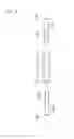 Fig. 04 - External fixator