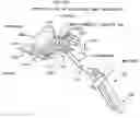 Fig. 01 - Method and apparatus for performing an open wedge, high tibial osteotomy
