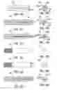Fig. 06 - Apparatus and system for orthopedic fastener insertion and extraction