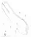 Fig. 23 - Foot prosthesis with resilient multi-axial ankle