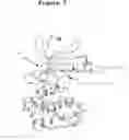 Fig. 136 - Crystal structure of aurora-2 protein and binding pockets thereof