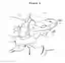 Fig. 137 - Crystal structure of aurora-2 protein and binding pockets thereof