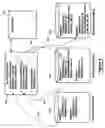 Fig. 06 - System and method for processing multiple bookings to receive a transportation service