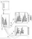 Fig. 07 - System and method for processing multiple bookings to receive a transportation service