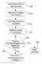 Fig. 01 - SYSTEM AND METHOD FOR ORGANIZING HOTEL-RELATED DATA