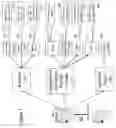 Fig. 02 - Network-Based Viral Payment System