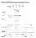 Fig. 09 - Network-Based Viral Payment System