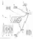 Fig. 02 - METHOD OF SOCIAL INTERACTION BETWEEN COMMUNICATION DEVICE USERS
