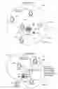 Fig. 06 - METHOD OF SOCIAL INTERACTION BETWEEN COMMUNICATION DEVICE USERS