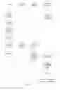 Fig. 06 - IDENTITY VERIFICATION
