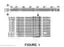 Fig. 02 - Genetic system for controlling the floral development of a dicotyledon plant, and implementation in detection and selection processes