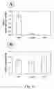 Fig. 22 - Method of production of recombinant sucrose synthase, use thereof in the manufacture of kits for determination of sucrose, production of adpglucose and production of transgenic plants whose leaves and storage organs accumulate high contents of adpglucose and starch