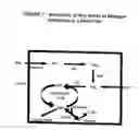 Fig. 02 - Promoter sequence obtained from rice and methods of use