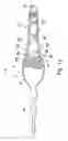 Fig. 14 - Artificial fishing lure with mechanical hook assembly