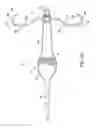 Fig. 16 - Artificial fishing lure with mechanical hook assembly