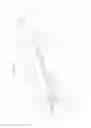 Fig. 06 - Crimper