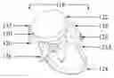 Fig. 01 - Universal ligature suitable for many instruments