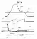 Fig. 09 - Electronic throttle control apparatus