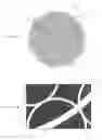 Fig. 04 - PERFORATED SUPPORT PLATE